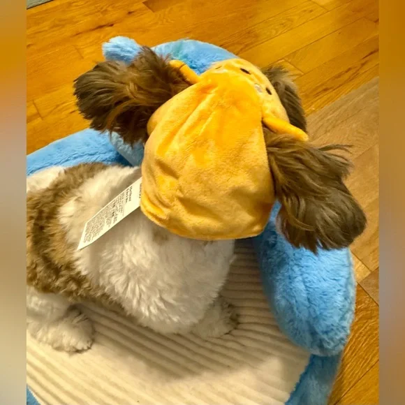 Shiba Inu breed. Pet hat. Famous product Miniso. Cute hat for a pet. - Picture 3 of 13